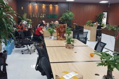 BẤT ĐỘNG SẢN HÒA LẠC XANH  TÁI ĐỊNH CƯ BẮC PHÚ CÁT- THẠCH HÒA - THẠCH THẤT-HÀ NỘI