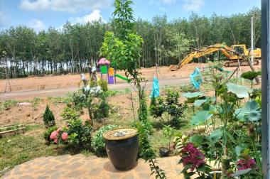  Chính chủ cần bán lô đất ngày QL14, SHR, thổ cư 100, công chứng trong tuần 