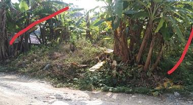 Chính chủ bán đất tại Tổ 7, Thị Trấn Việt Quang, Huyện Bắc Quang, Tỉnh Hà Giang