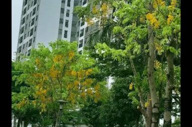 Bán nhanh căn chung cư mới 1.55 tỷ  tại Hồng Hà Eco city