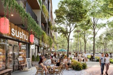 Dự án nhà phố thương mại Artisan Park thanh toán chỉ 50% nhân nhà Trung tâm Thành Phố Mới Bình