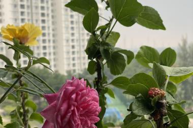 Cho thuê gấp căn hộ Riverside residence Phú Mỹ Hưng, 130m2, 4pn, view sông, full NT, giá 1500$, ở liền