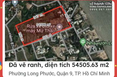 Nhỉnh 3 triệu 1m2. 54000m2 (5,4 HA) đất lô góc mặt tiền đường Cầu Đình, Q9