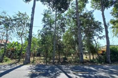 Bán Đất 2 Mặt Tiền Đường Nhựa 1500m2 Bùi Thị Điệt, Xã Phạm Văn Cội, Huyện Củ Chi.
