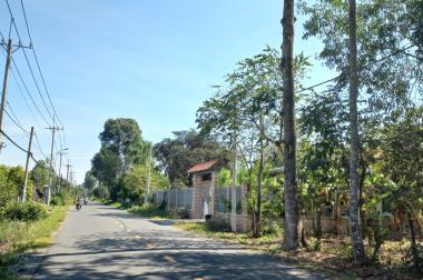 Bán Đất 2 Mặt Tiền Đường Nhựa 1500m2 Bùi Thị Điệt, Xã Phạm Văn Cội, Huyện Củ Chi.