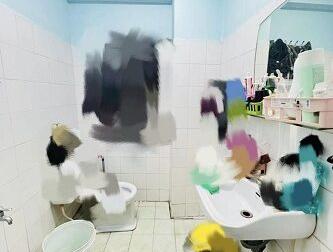 Cho thuê nhà nguyên căn 24A Chi Lăng,phường Phước Tân, Tp Nha Trang, Khánh Hoà