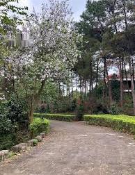 DỰ ÁN THUNG LŨNG THANH XUÂN CẠNH FLAMINGO ĐẠI LẢI VĨNH PHÚC CHUẨN BỊ RA MẮT 2023 SIÊU HOT