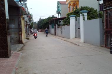 Bán nhà giá rẻ xã Phú Cường, Huyện Sóc Sơn, TP Hà Nội. S105m2, giá chỉ 1.8 tỷ