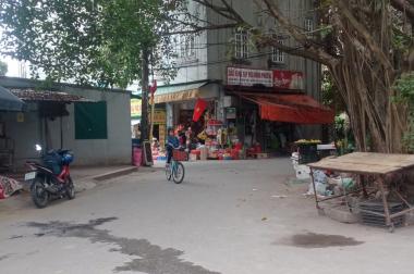 Bán nhà Tiên Dương, Huyện Đông Anh, Hà Nội. Diện tích 98m2, Mt 5m, giá rẻ chỉ 3.1 tỷ