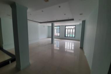 Nhà Mặt Tiền đường Hoa Phượng, Phường 2, Quận Phú Nhuận(8x16m) : 1