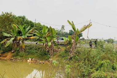Bán đất thổ cư Khu 12 Tu Vũ - Thanh Thủy – Phú Thọ. Giá F0 nhỉnh 1tr/m2.