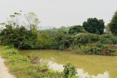 Bán đất thổ cư Khu 12 Tu Vũ - Thanh Thủy – Phú Thọ. Giá F0 nhỉnh 1tr/m2.