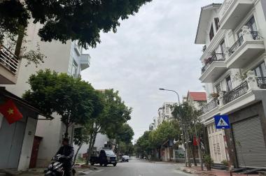 Bán đất MP An Dương Vương, ph Hải Tân, TP HD, 175.5m2, mt 9m, KD buôn bán, xây biệt thự