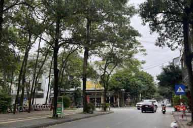 Bán đất MP An Dương Vương, ph Hải Tân, TP HD, 175.5m2, mt 9m, KD buôn bán, xây biệt thự