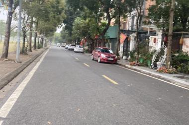 Cho thuê nhà song lập KĐT Việt Hưng , phường Giang Biên , Long Biên. Thô ngoài hoàn thiện trong.