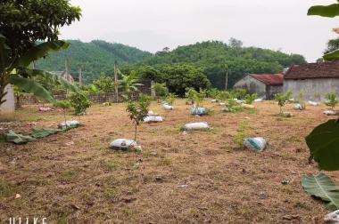 Chính chủ cần tiền bán nhanh 2 lô đất tại  xóm Na Quán –  Xã Nam Hoà – H. Đồng Hỷ – Thái Nguyên.