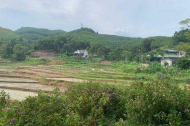 Bán nhanh lô đất huyện Tân Lạc - Hòa Bình - Thích hợp đầu tư - LH tư vấn: 0913 296 825.