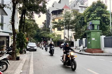 Siêu phẩm vip Hoàng Cầu, phân lô, ngõ kinh doanh, ô tô qua nhà, 6.6 tỷ