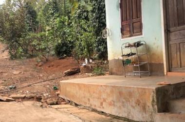 BÁN RẪY phường Eaban, tp.Buôn ma thuột