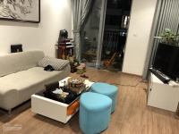 Cho thuê căn hộ 2PN đủ đồ tòa T khu đô thị Times City