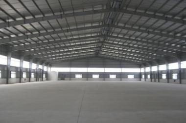 Cho thuê kho chứa hàng nông sản 10000 m2 ở cảng cái mép bà rịa vũng tàu