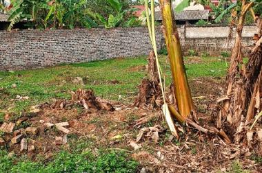 CẦN BÁN GÂP lô đất vuông vắn 3 mặt tiền tại thị trấn  Kha Sơn Phú Bình Thái Nguyên diện tích 300m