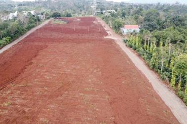 Siêu phẩm Khe Sanh - Đà Lạt Miền Trung