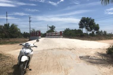 2s3 đất lúa giá ngộp cho anh chị đầu tư