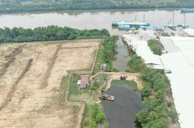 Chuyển nhượng 37332 m2 đất KCN SKK tại Long Cang, Cần Đước, Long An