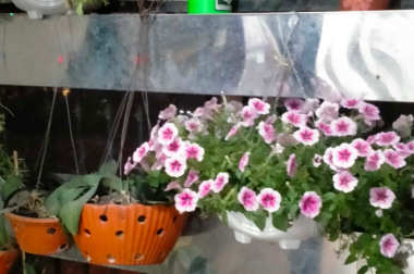 Hót! Hót! Hot! Chính Chủ Bán Nhanh Căn Hộ 3 phòng ngủ chung cư Hei Tower chi hơn 3 tỷ.