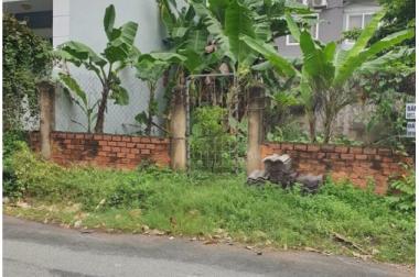 Đất hướng Đông Nam vuông vức đường số 8, KP 4, P. An Phú, Quận 2, DT: (185m2) giá: 28 tỷ