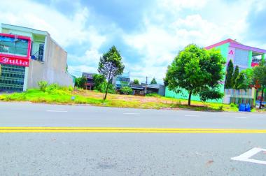 Tôi Chủ Bán Gấp 700m2 Đất Thổ Cư 100% Sổ Hồng,giá 1,4tỷ/sổ Đường Nhựa TT Bình Dương