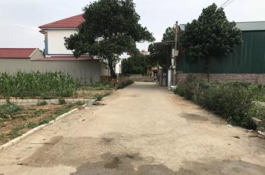 BÁN 555M ĐÁT ĐƯỜNG THÔNG THÔN 8 TÂN XÃ XÂY TRỌ ĐẸP