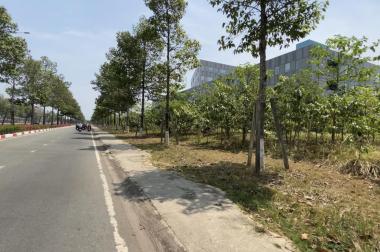 Bán đất 150m2 tâm huyết ngay chợ,trường Thới Hòa Bình Dương