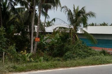 Chính Chủ Cần Bán Lô Đất Cây Lâu Năm Vị Trí Đẹp Tại Trà Vinh