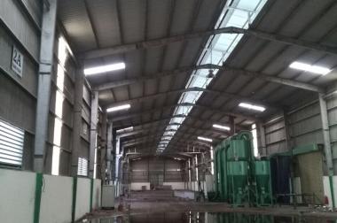 Chuyển nhượng nhà máy chế biến gạo tại Tân Phú Thạnh, Châu Thành A, Hậu Giang