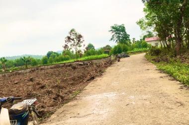 Đất nghỉ dưỡng nhà vườn Thanh Thủy Phú Thọ giá rẻ 