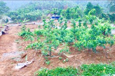 Đất nghỉ dưỡng nhà vườn Thanh Thủy Phú Thọ giá rẻ 