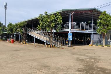 Cho thuê kho xưởng 10.000 m2 trong khu công nghiệp Giang Điền, huyện Trảng Bom.