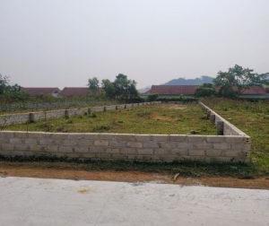 Chính chủ cần bán Đất tại thôn Miễu - xã Tiến Xuân