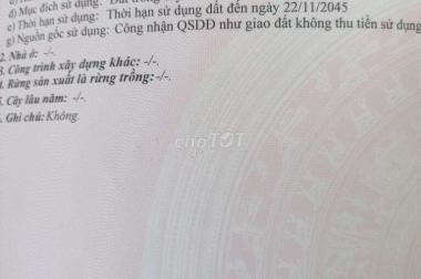 CHÍNH CHỦ BÁN NHANH Đất  Đắc Địa Tại  Xã An Phú Tân, Huyện Cầu Kè, Trà Vinh