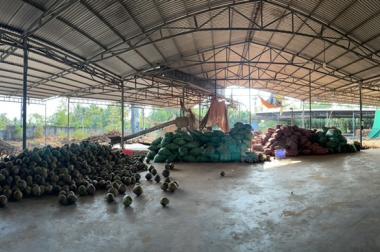CHÍNH CHỦ BÁN NHANH Lô Đất 2 Mặt Tiền Tặng Nhà Xưởng Tại Quốc Lộ 60, Bến Tre - Giá Đầu Tư