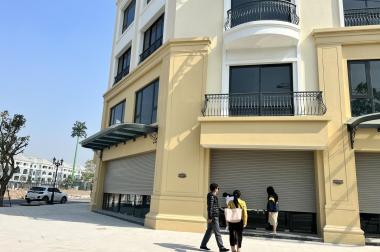 Thuê shophouse biệt thự Vinhomes giá chỉ từ 04 triệu để ở và kinh doanh.