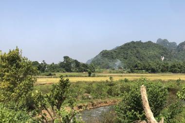 LÔ DUY NHẤT BÁM ĐƯỜNG NHỰA LIÊN TỈNH GẦN ĐƯỜNG 12B, RỘNG, VIEW ĐẸP 