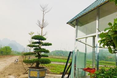 ANH CHỊ T CHỈ HƠN 1 TỶ SỞ HỮU THỬA ĐẤT BÁM SÔNG BÔI, NẰM TRONG KHU NGHỈ DƯỠNG AN BÌNH GLAMPING K