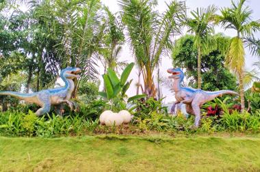 Mở bán KĐT Phúc An Asuka MT QL91 nối dài Hoàng Diệu vị trí vàng sinh lợi cao