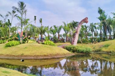 Mở bán KĐT Phúc An Asuka MT QL91 nối dài Hoàng Diệu vị trí vàng sinh lợi cao