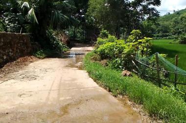 anh chị nghĩ sao khi xây dựng nghỉ dưỡng tại lô đất như ốc đảo, duy nhất tại Kim Bôi 