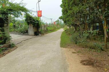 Bán đất trục chính QL2C. Cách điện lạnh Tâm An 1km. 2km ra dòng sông Phó Đáy. giá chỉ 15 tr/m2