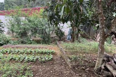 Bán đất trục chính QL2C. Cách điện lạnh Tâm An 1km. 2km ra dòng sông Phó Đáy. giá chỉ 15 tr/m2